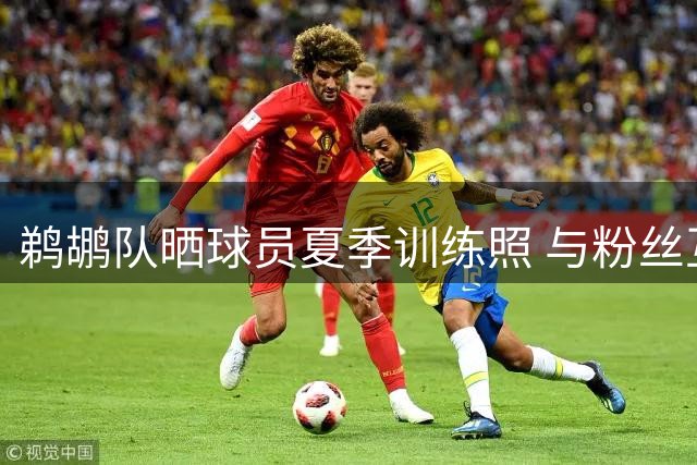 鹈鹕队晒球员夏季训练照 与粉丝互动分享近况